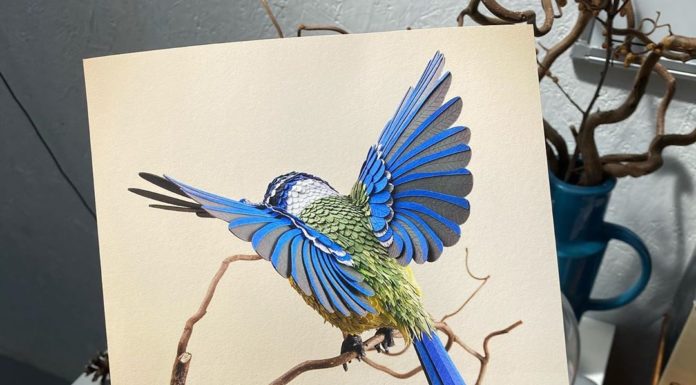 5 Artists on Instagram Every Bird Lover Should Follow