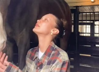 Gen Z’s Rejoice! Claw Clips Are Back