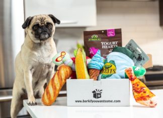 Pet Parents Will Love These Dog Subscription Boxes
