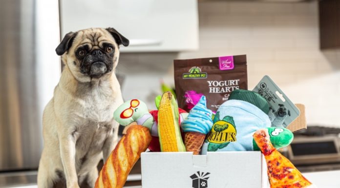 Pet Parents Will Love These Dog Subscription Boxes