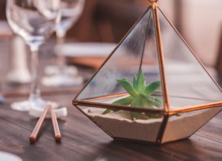 Learn How to Make Your Own Decorative Geometric Terrarium