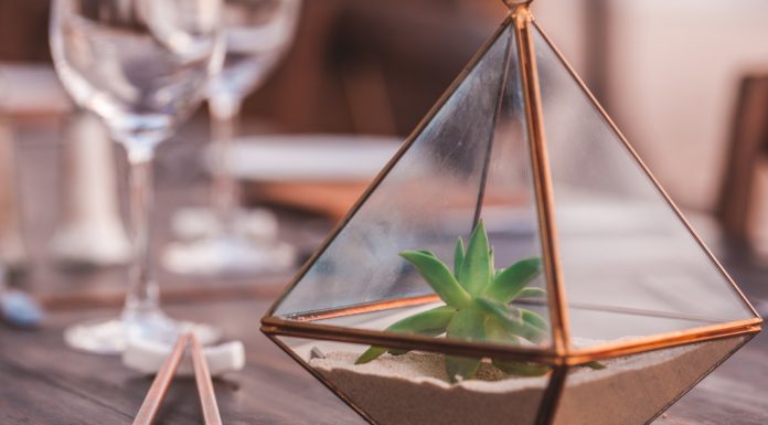 Learn How to Make Your Own Decorative Geometric Terrarium