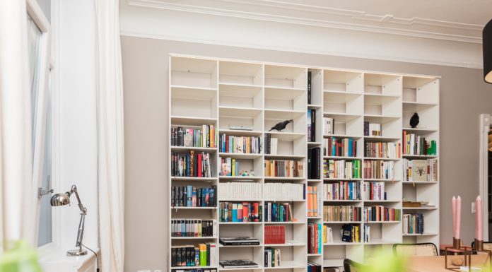 Quirky Bookshelf Décor Ideas You Should Know About