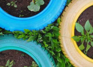 Tire Planters Are the Perfect DIY Project for Gardening Lovers