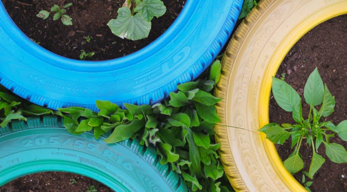Tire Planters Are the Perfect DIY Project for Gardening Lovers
