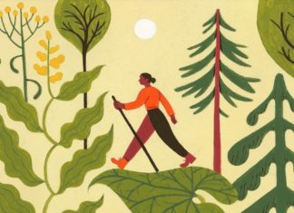We’re Gushing Over Celia Jacobs’ Illustrations