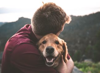 5 Tips For Being a More Eco-Friendly Pet Owner