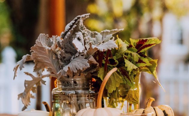 It’s Time to Start Decorating Your Kitchen for PSL Season