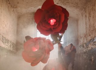 Let Your Instagram Feed Blossom, Courtesy of Lacy Barry