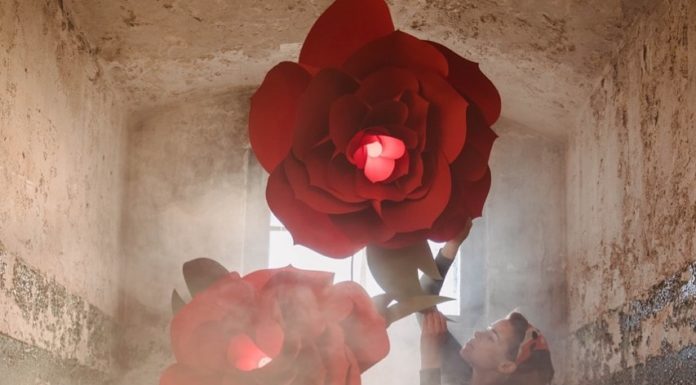 Let Your Instagram Feed Blossom, Courtesy of Lacy Barry