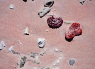 3 Beautiful Pink Sand Beaches Around the World