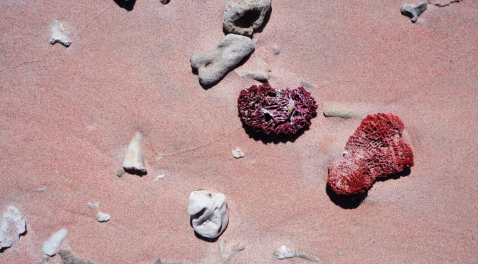 3 Beautiful Pink Sand Beaches Around the World