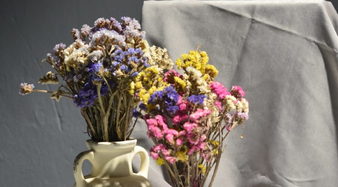 Don’t Want to Throw Away Flowers? Here’s How to Dry Them