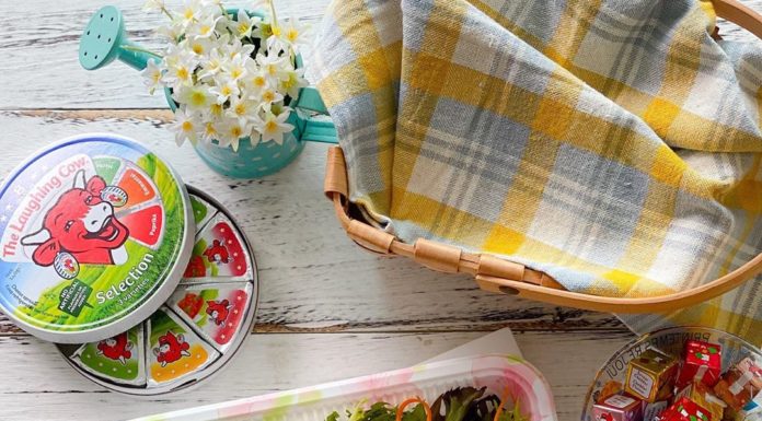 Shirley Wong Will Introduce You to the Bento Box Trend