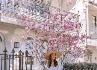 Tara Milk Tea’s Instagram Page Is a Pastel Dream Come True