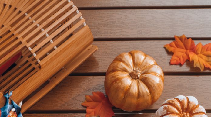 Where to Get Your Pumpkin Spice Fix This Fall
