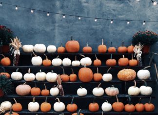 5 Pumpkin Décor Ideas You Should Try This Fall