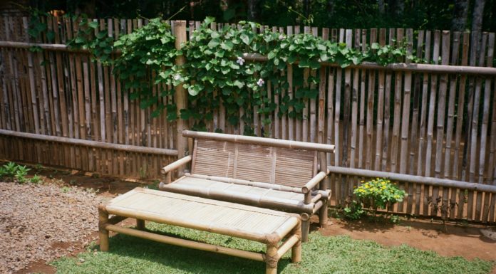 Every Home Needs a Bench