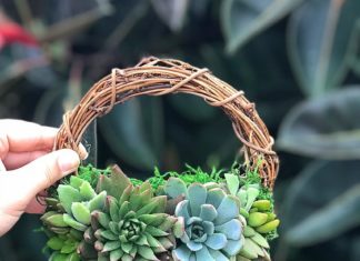 Terracotta Corner is Transforming Succulents Into a Holiday Essential