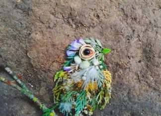 Bird Portraits Made Of Leaves and Flowers