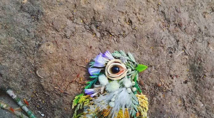 Bird Portraits Made Of Leaves and Flowers