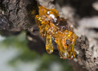 Get Some Resin Home Accessories Before the Winter Comes