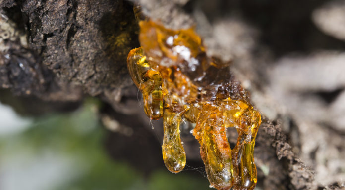 Get Some Resin Home Accessories Before the Winter Comes