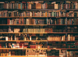 3 New Foreign Novels Worth Knowing About
