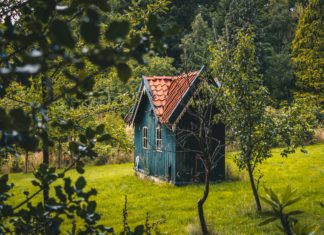 TinyHouse Instagram Proves Stability and Adventure Go Hand-in-Hand