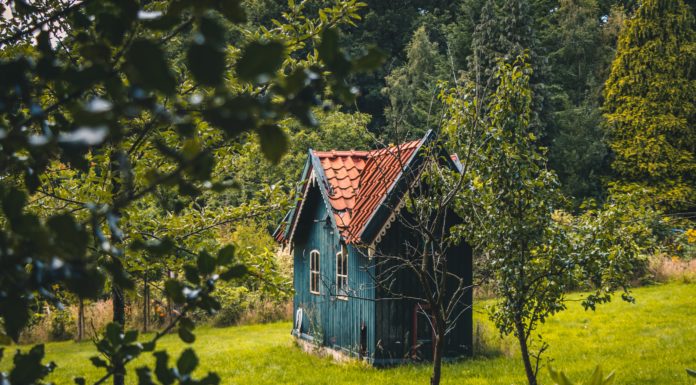 TinyHouse Instagram Proves Stability and Adventure Go Hand-in-Hand
