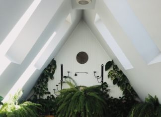 What’s Forest Therapy and Why is it Entering Our Bathrooms?