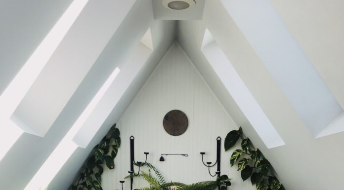 What’s Forest Therapy and Why is it Entering Our Bathrooms?