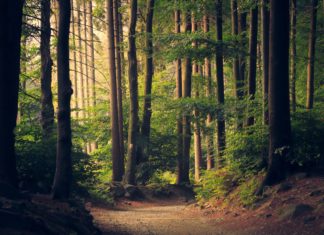 This Fall and Winter, Try Friluftsliv Instead of Hygge