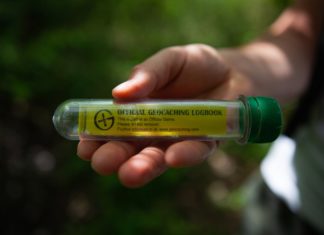 Why Geocaching is the Perfect Socially Distanced Adventure