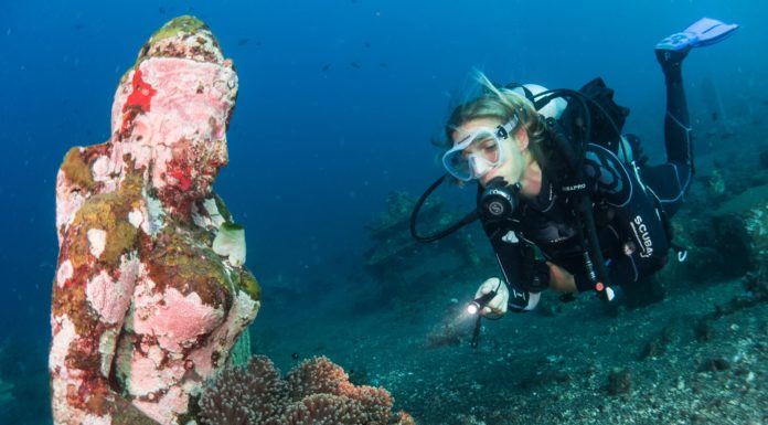 Why the Girls That Scuba Network is Worth a Follow