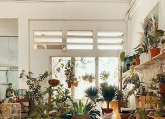 The Best Instagram Accounts to Follow If You Love Plants