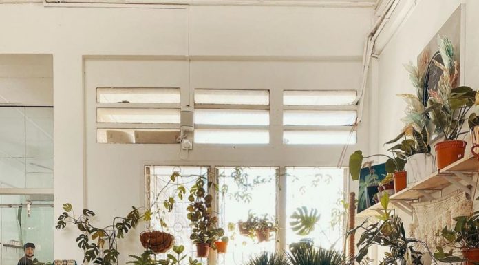 The Best Instagram Accounts to Follow If You Love Plants