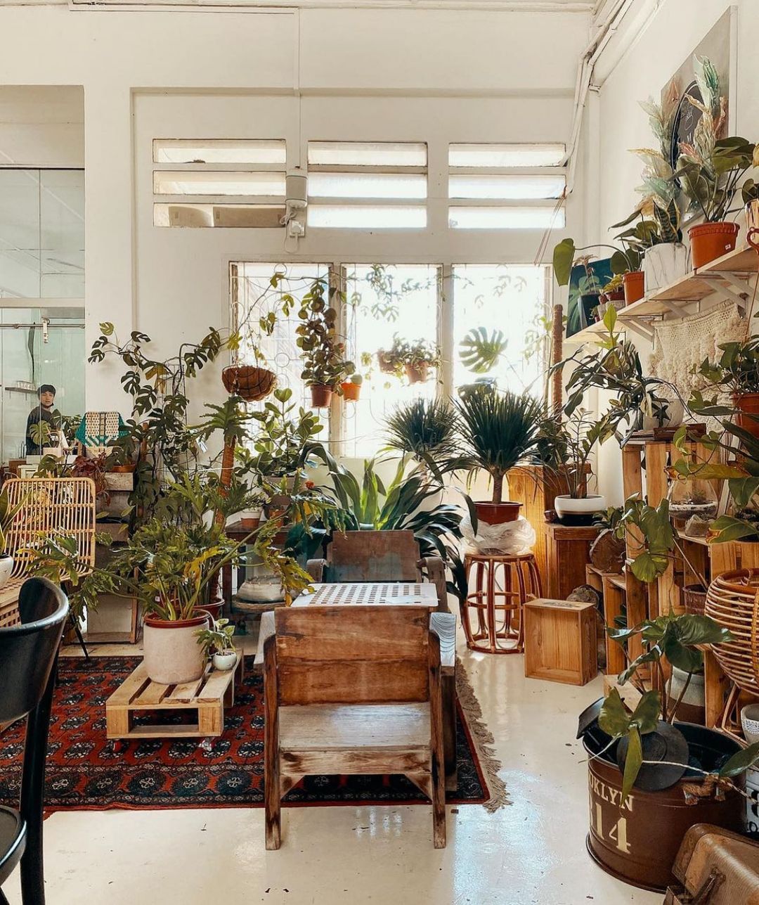 The Best Instagram Accounts to Follow If You Love Plants - My Daily ...