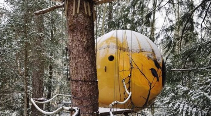 Treehouse Hotels for the Intrepid Traveler