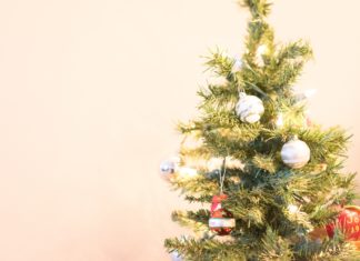 Mini Christmas Trees to Welcome Into Your Home This Holiday Season
