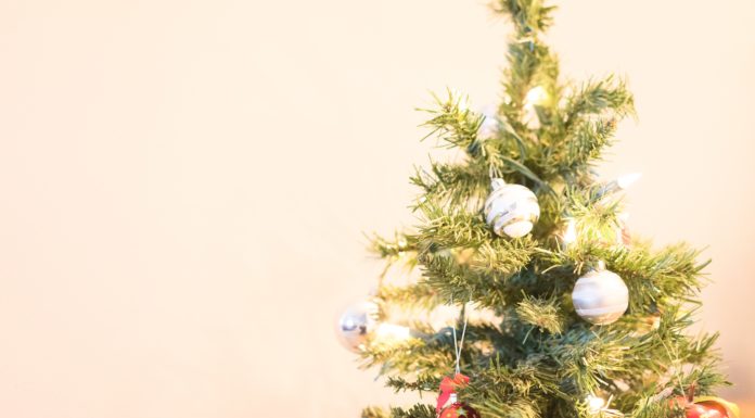 Mini Christmas Trees to Welcome Into Your Home This Holiday Season