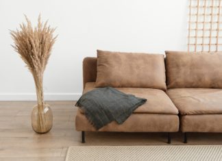 How To Use Pampas Grass at Home