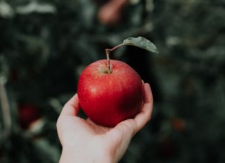 It’s Time to Try These Delicious Apple Recipes