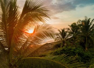 The Top Costa Rican Yoga Retreats