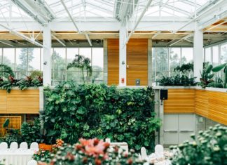 Beat The Winter Blues With a Living Wall