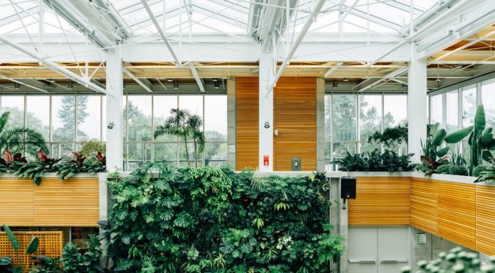 Beat The Winter Blues With a Living Wall