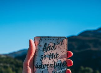 The Most Stylish Passport Holders