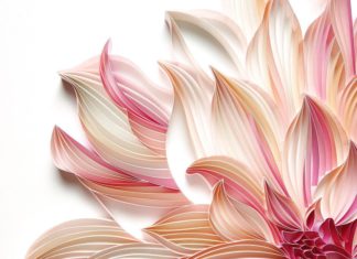 Discover the Magical Paper World of Judith + Rolfe