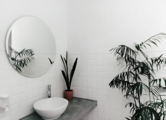 Best Plants For Decorating Your Bathroom