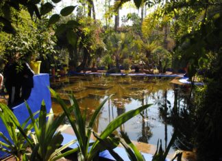 3 Botanical Gardens That Every Plant Lover Should Visit